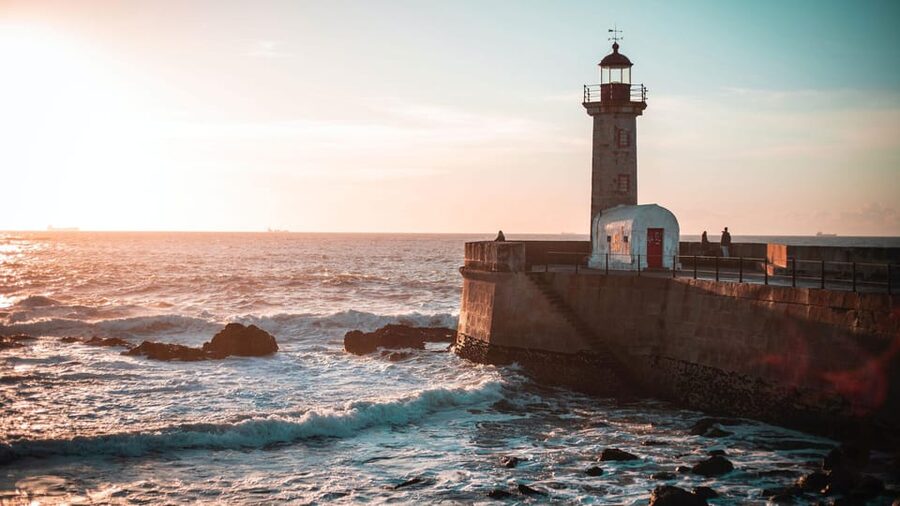 Porto Sunset Bike Tour - Birdlife and sunset at Jardim do Cálem