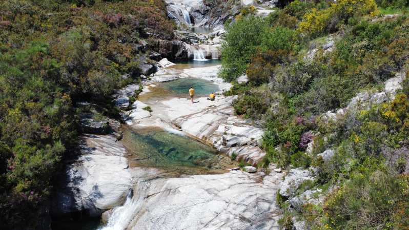 Porto: swimming, hiking, picnic in Gerês National Park - Leaving Porto with coffee and pastel de nata