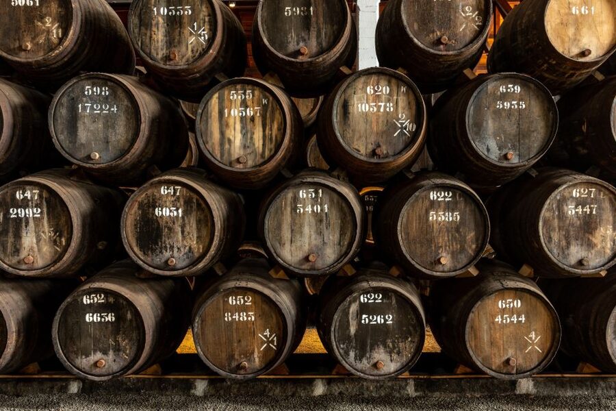 Porto: Taylor's Port Cellars & Tasting - The garden and views over Porto