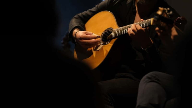 Porto: The highest-rated traditional fado concert (downtown) - Why this Porto fado concert feels different