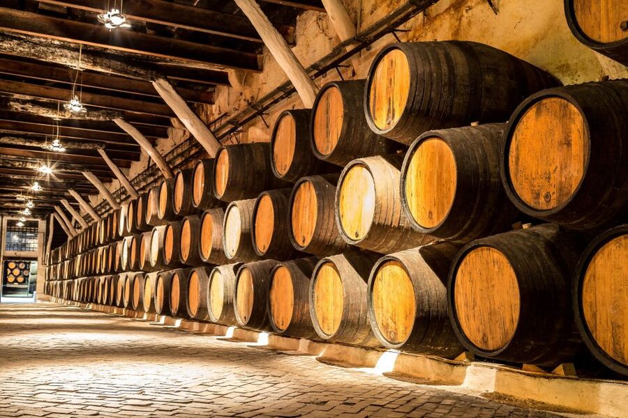 Porto: Tuk-Tuk Tour, Douro River Cruise, and Wine Tasting - Who gets the most from this tour