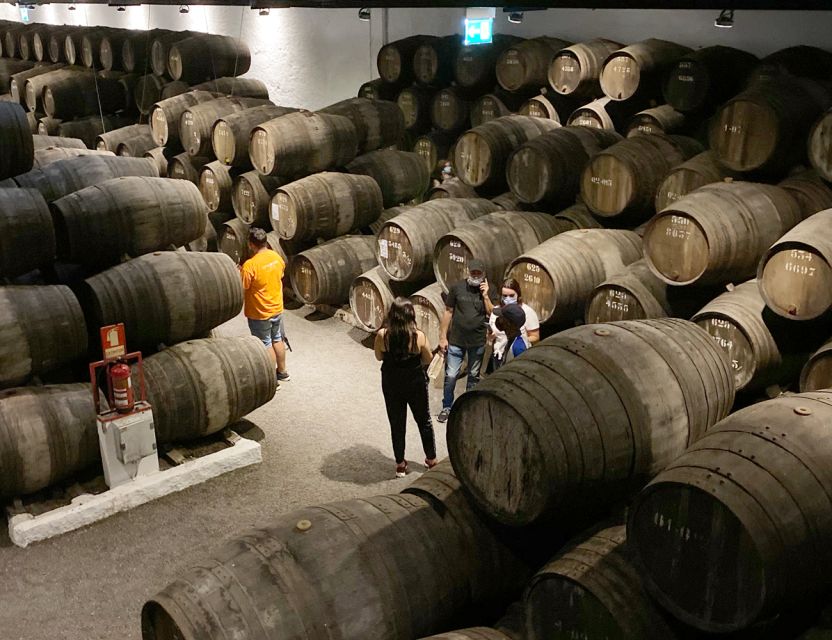 Porto: Wine Tasting with Tapas Walking Tour - Is $53 a fair price?
