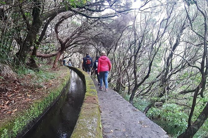 PR6 & PR6.1 25 Fontes & Risco Levada Self-Guided Hiking Rabaçal - Is $41.03 good value?