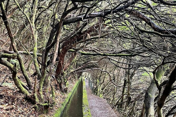 PR6 & PR6.1 25 Fontes & Risco Levada Self-Guided Hiking Rabaçal - The early drive from Funchal to Rabaçal