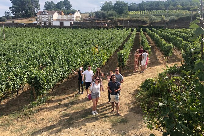 Premium Douro Valley Small-Group Tour, Wine Tasting, Lunch & Boat - Leaving Porto at 8:30 a.m.