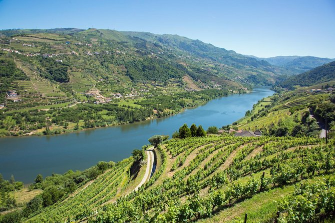 Premium Douro Valley Small-Group Tour, Wine Tasting, Lunch & Boat - Lunch at Casa dos Barros