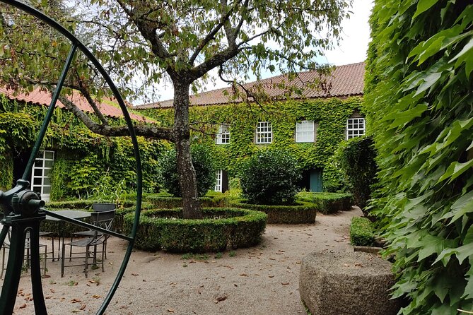 Premium Douro Valley Small-Group Tour, Wine Tasting, Lunch & Boat - The guides make or break the day