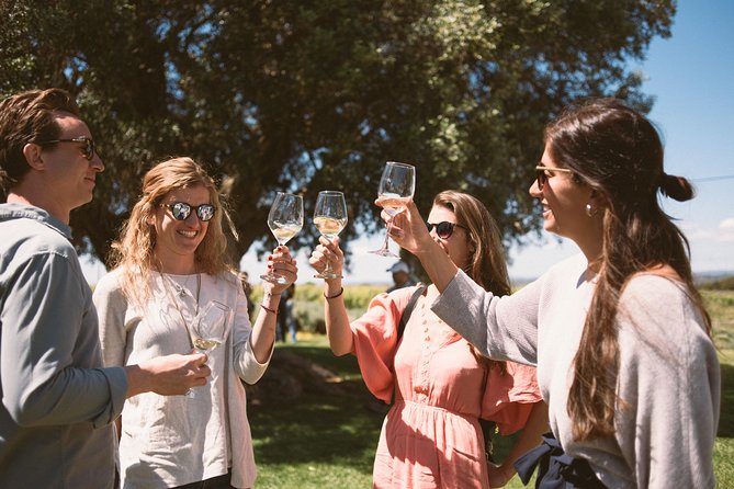 Premium Vineyard Tour & Tasting - Key points to know before booking