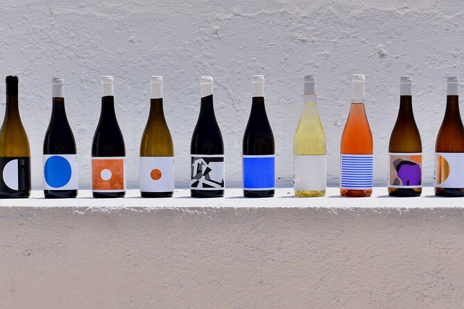 Premium Vineyard Tour & Tasting - The 90-minute visit and vineyard walk