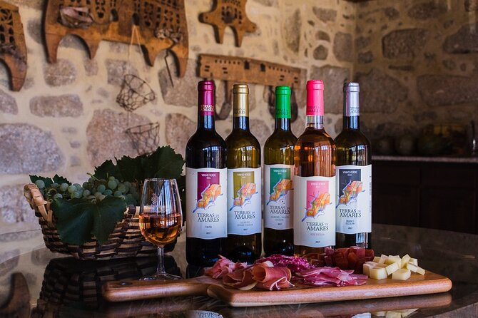 Private Culture and Wine Tourism Tour - A vineyard walk in the Vinho Verde region