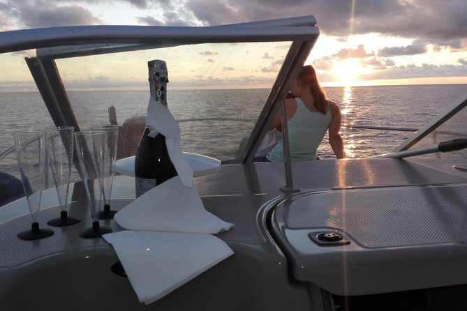 Private Dolphin and Whale Watching Tour in Madeira - Key points at a glance