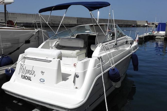 Private Dolphin and Whale Watching Tour in Madeira - Meeting the crew at Calheta Marina