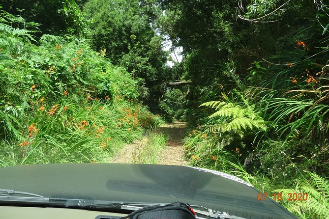 Private Full Day Off-Road Tour in Madeira - Porto Moniz: lunch and volcanic pools