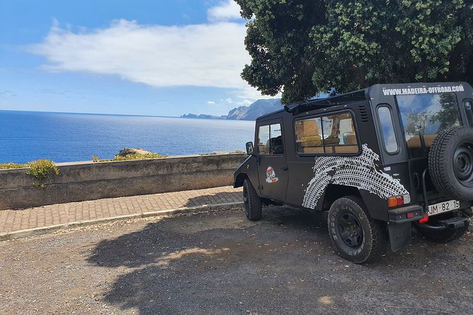 Private Full Day Off-Road Tour in Madeira - Who should book this Madeira tour?
