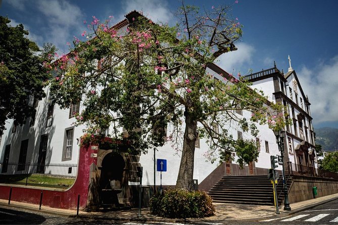 Private Funchal City Tour by Tukxi - Why a Tukxi works well in Funchal