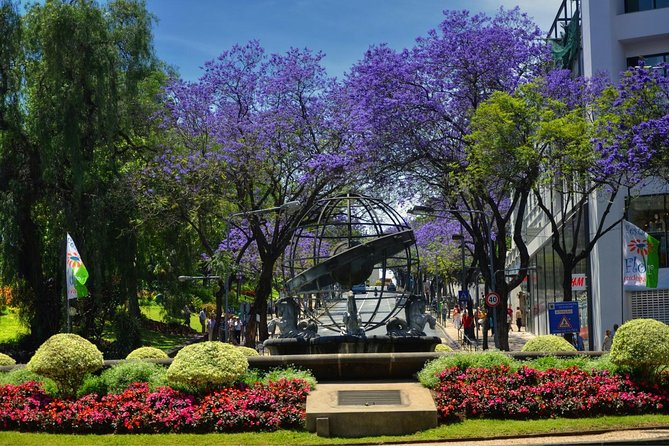 Private Funchal City Tour by Tukxi - Funchal Cathedral and the Sé