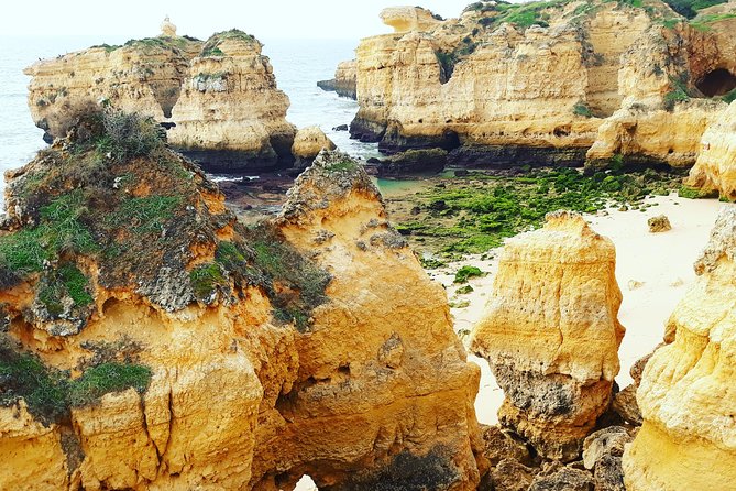 Private Guided Tuk-Tuk Tour with Pick-Up and Drop-Off of Albufeira - The Guides Make the Difference