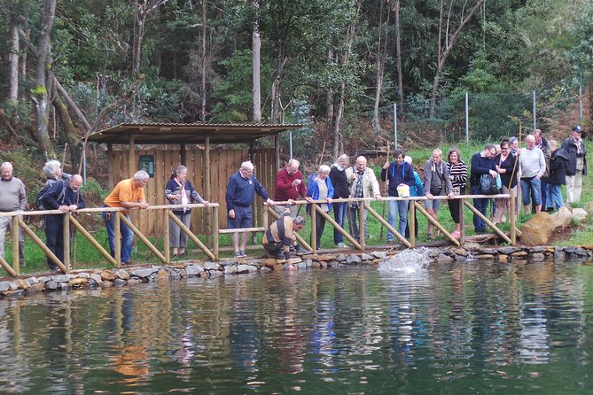 Private Half-Day 4X4 Experience: East or West - Porto Moniz and the limits of five hours