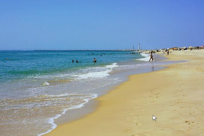Private Half-Day Boat Tour in Ria Formosa from Faro - Who will enjoy this boat trip most?