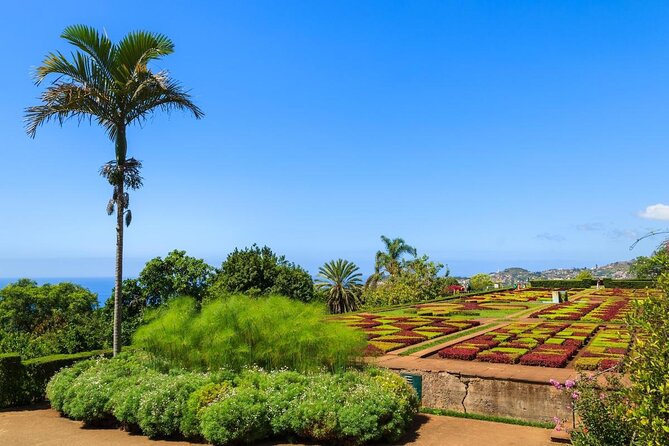 Private Half day tour around Madeira Island - Key points to know before booking