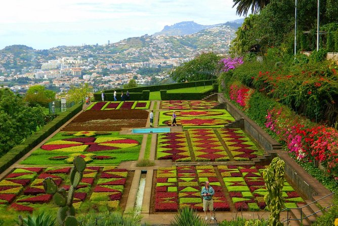 Private Half day tour around Madeira Island - Why this half-day tour works well in Madeira