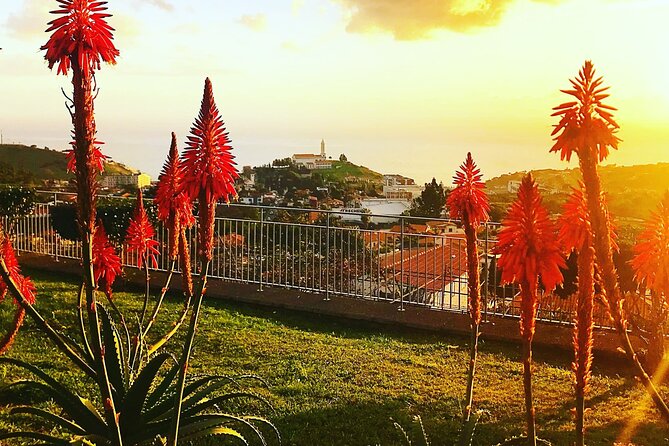 Private Half day tour around Madeira Island - Is the price good value for your group?
