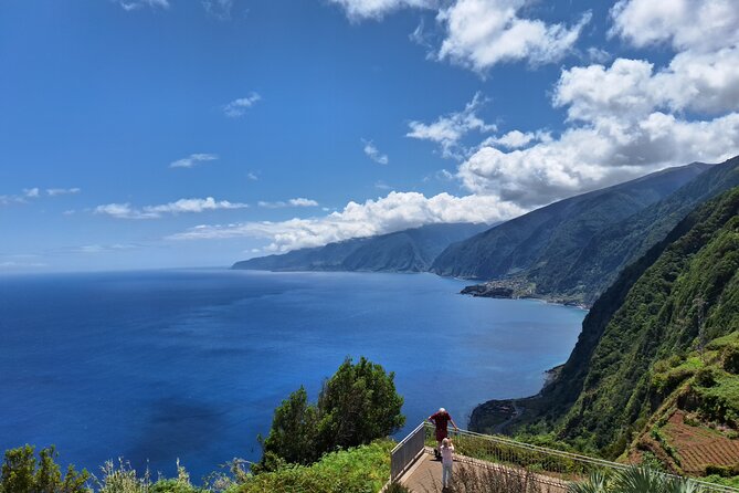 Private Madeira Island Tour: The Most Complete 8-Hour Experience - Fanal’s Laurel Trees and the Mountain Crossing