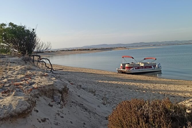 Private Ria Formosa Natural Park Boat Cruise from Faro - Who will enjoy this cruise most