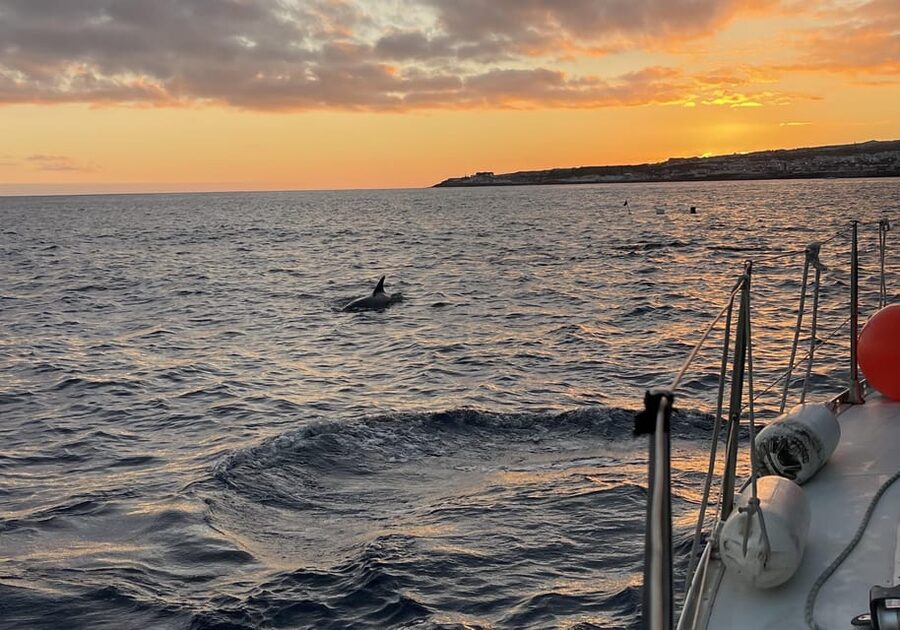 Private Sailing Sunset Tour PDL - Wine, picnic food, and the ride back