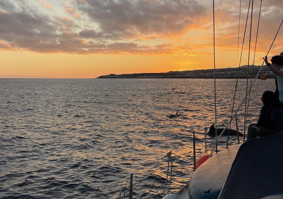 Private Sailing Sunset Tour PDL - Who will enjoy this São Miguel sailing tour?
