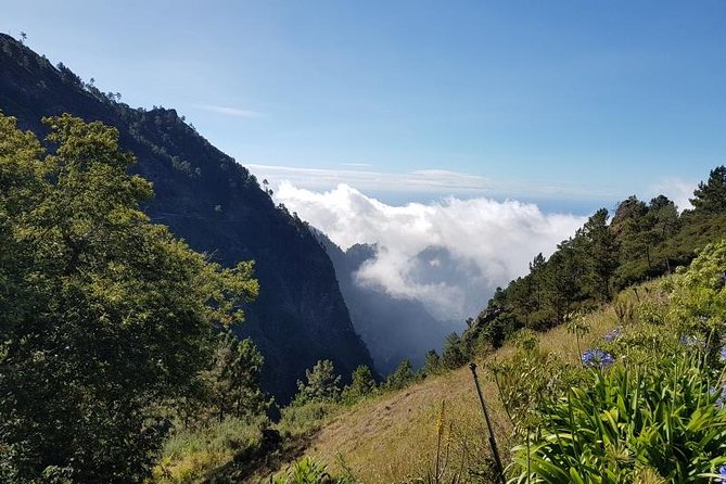 Private Tour Nun's Valley Halfday - Is $192.23 good value?