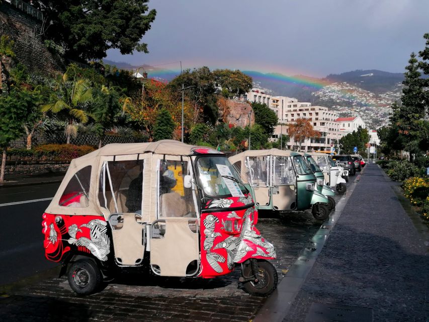 Private tour:Tuk Tuk Ride to Monte Funchal Toboggans - Why this private Monte trip works well