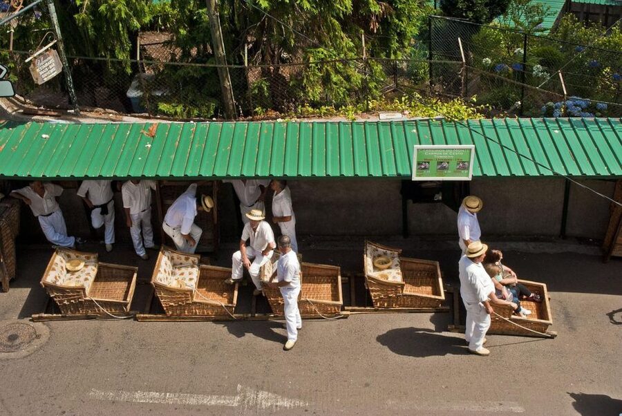 Private tour:Tuk Tuk Ride to Monte Funchal Toboggans - Which travelers will enjoy it most