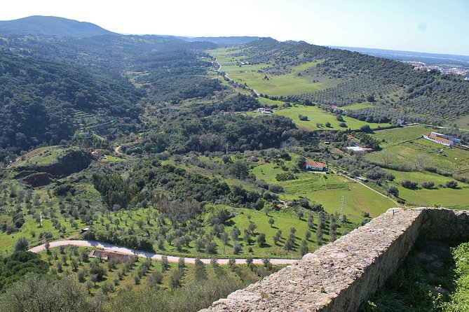 Private Wine Tasting in the Setúbal Wine Region, from Lisbon - Why Setúbal makes a good wine day from Lisbon