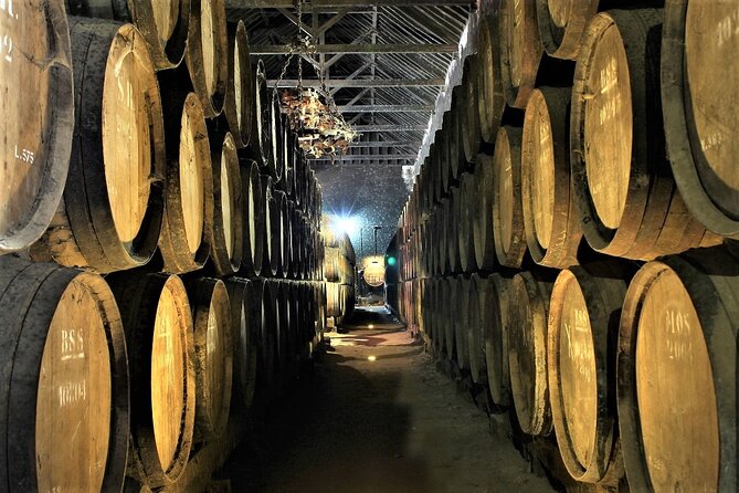 Private Wine Tasting in the Setúbal Wine Region, from Lisbon - José Maria da Fonseca: the essential first cellar