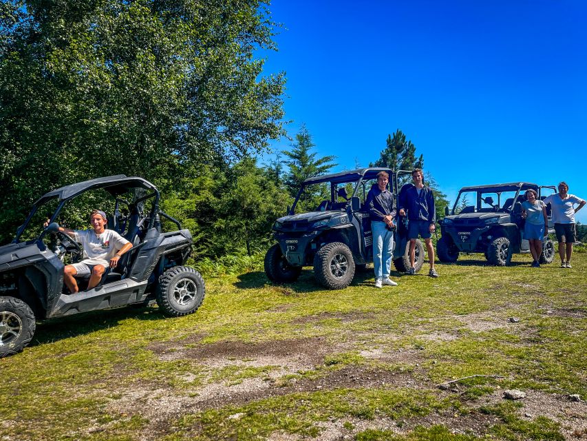 Prozelo: Buggy Tour - Key Points