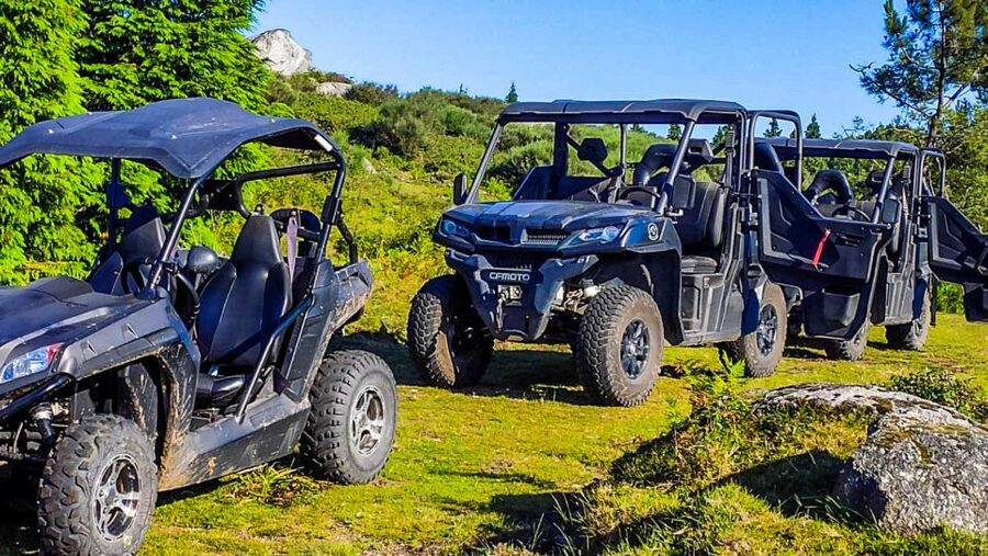 Prozelo: Buggy Tour - How Much Value Do You Get for $163?