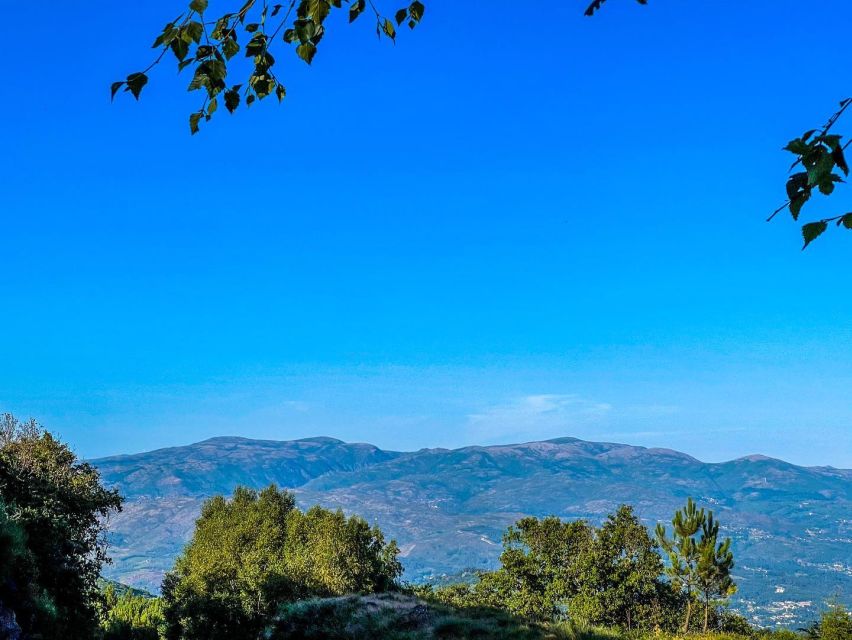 Prozelo: Buggy Tour - Clothing, Documents, and the €300 Deposit