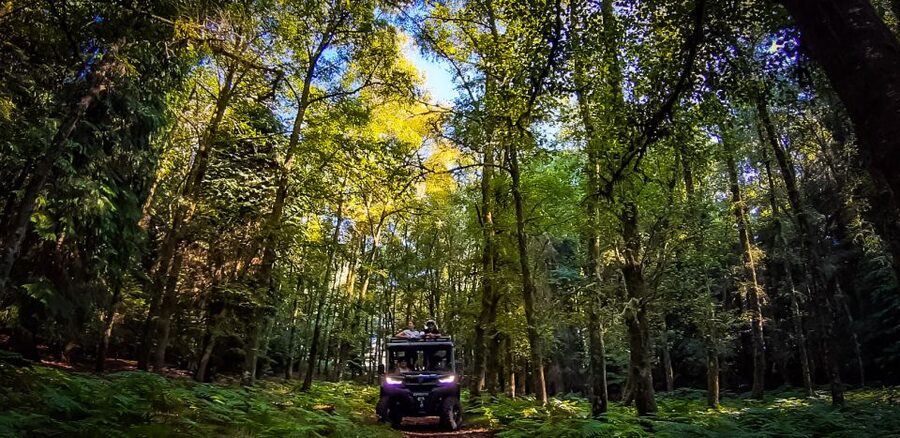Prozelo: Buggy Tour - The Practical Drawbacks to Weigh