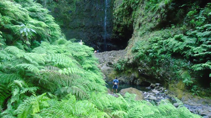 Queimadas Natural Park 5-Hour Guided Hike - Entering Queimadas Natural Park
