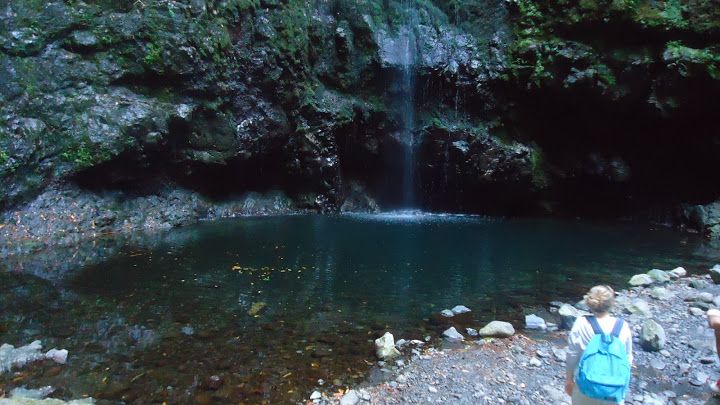 Queimadas Natural Park 5-Hour Guided Hike - Following an 18th-century irrigation channel