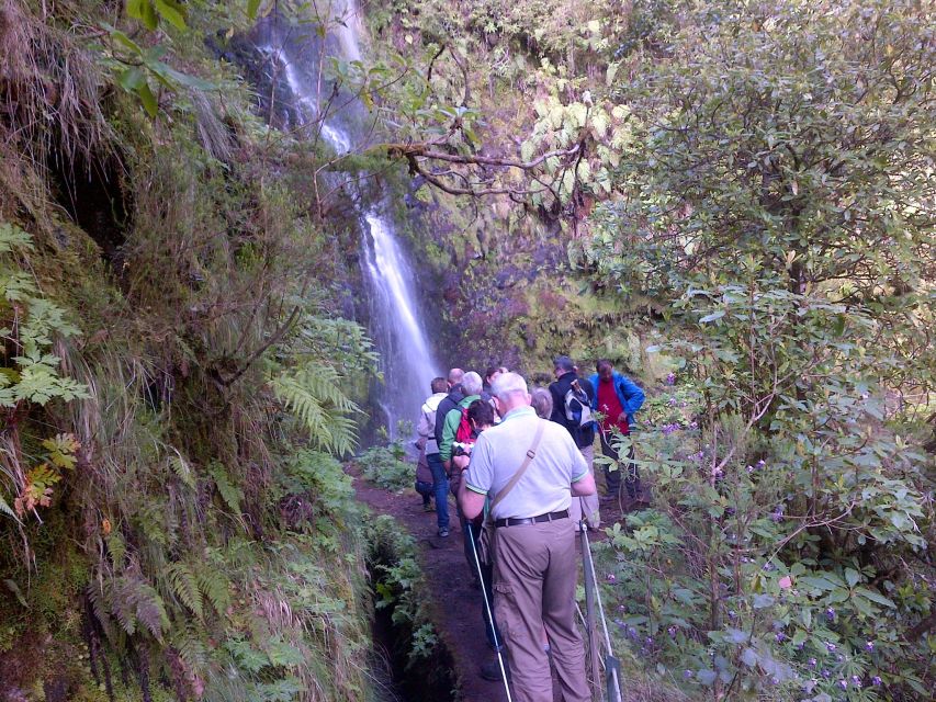 Queimadas Natural Park 5-Hour Guided Hike - Waterfalls, valleys, and changing mountain views