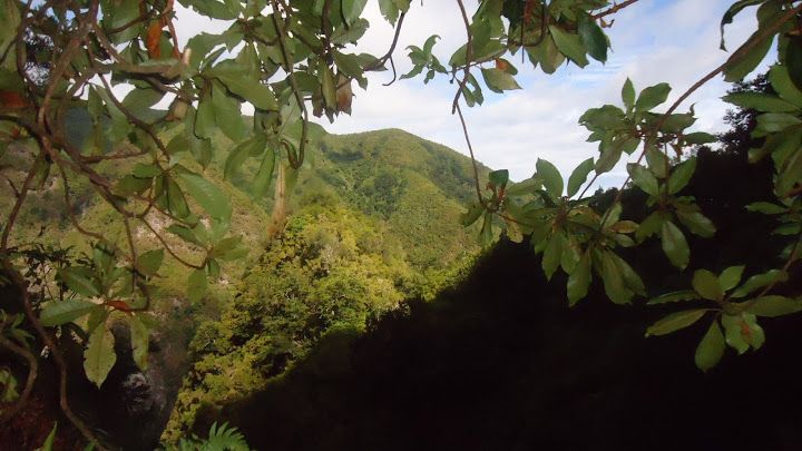 Queimadas Natural Park 5-Hour Guided Hike - What the $48 price includes