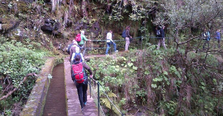 Queimadas Natural Park 5-Hour Guided Hike - From Funchal to Queimadas Natural Park