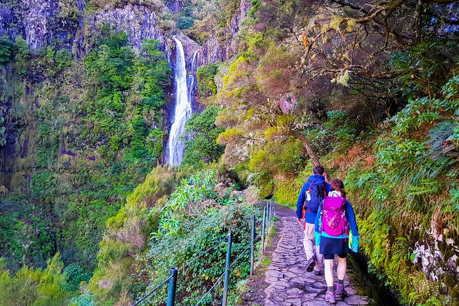 Rabaçal 25 Fontes Levada Walk in Small Groups - Why the 25 Fontes walk is worth your time