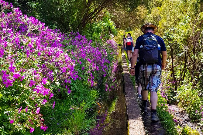 Rabaçal 25 Fontes Levada Walk in Small Groups - The Laurissilva Forest and its waterfalls
