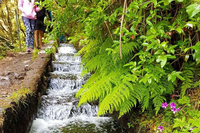 Rabaçal 25 Fontes Levada Walk in Small Groups - Walking beside the levada