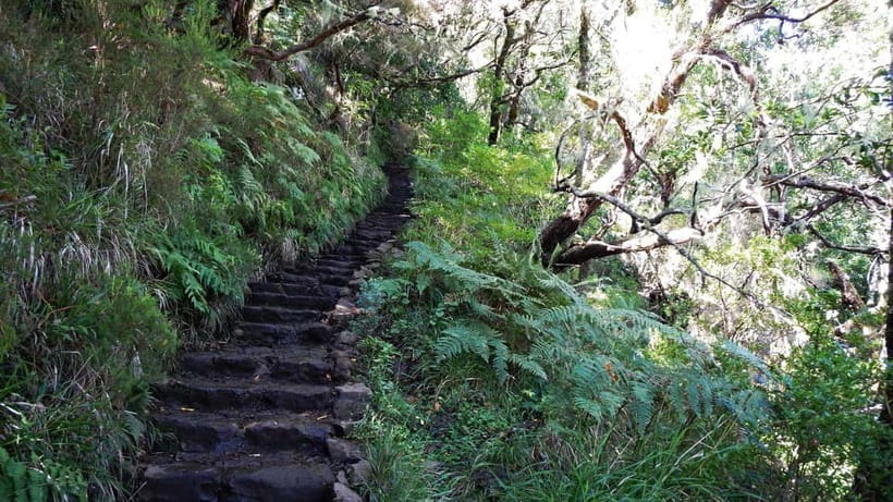 Rabaçal: 25 Fontes & Risco Levada Transfer Self-guided Hike - Key points to know before booking