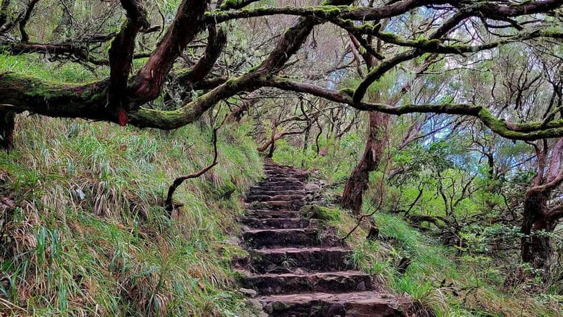 Rabaçal: 25 Fontes & Risco Levada Transfer Self-guided Hike - Who should choose this hike