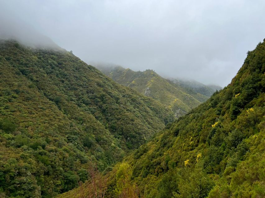 Rabaçal: 25 Fontes & Risco Levada Transfer Self-guided Hike - What this Rabaçal day trip really provides